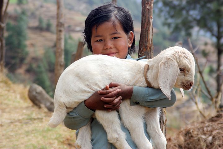 Nepal-Lamb and child