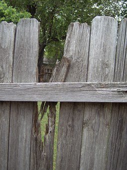 fence